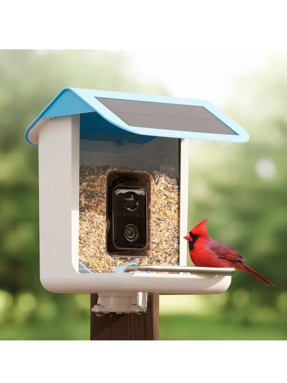 Sharper Image Blue and Silver Video Camera Bird Feeder